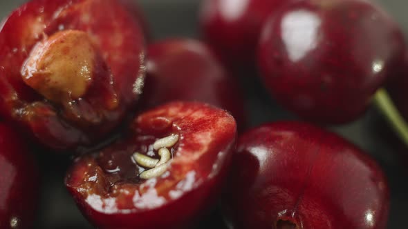 Lot of White Worms Crawl in Core of Sweet Juicy Berry Extreme Closeup Macro alt