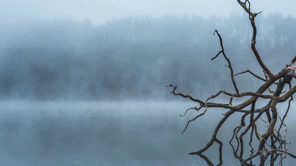 Early Morning Fog and Mist Above a Quiet Lake in Lithuania