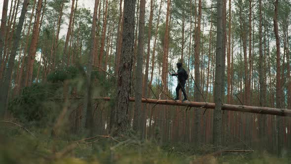 a Man Balances on a Fallen Tree and Looks for a Cellular Signal