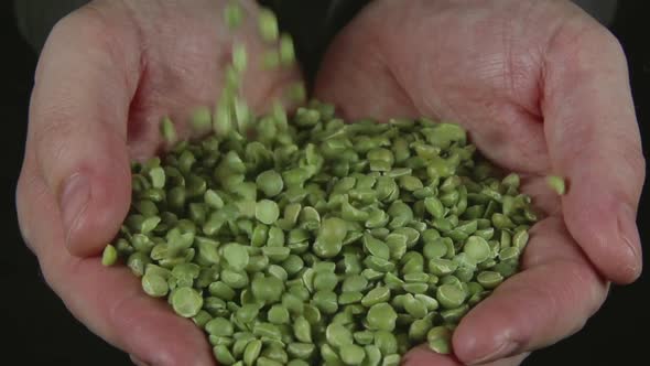 Green Peas Fall On A Human Hands alt