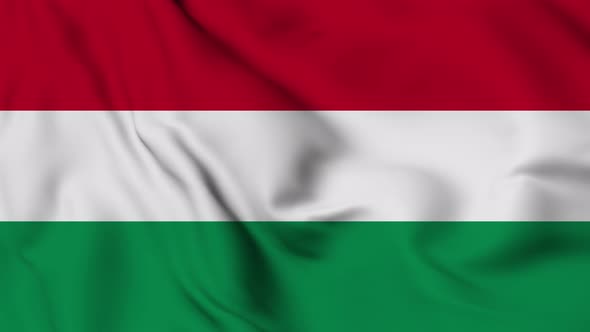 Hungary flag seamless waving animation