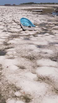 Tanzania  Vertical Video of Low Tide in the Ocean Near the Coast of Zanzibar Slow Motion alt