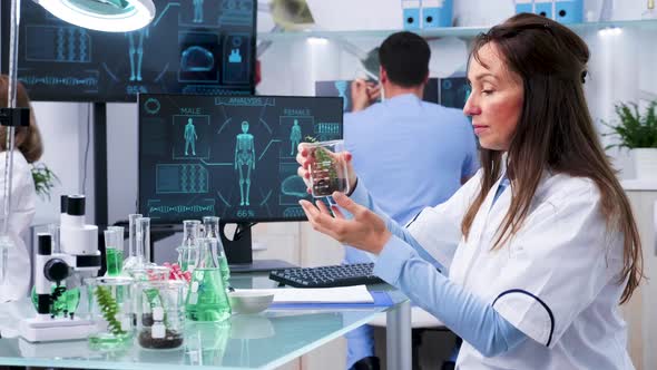 Looking at Test Plants in Tubes alt