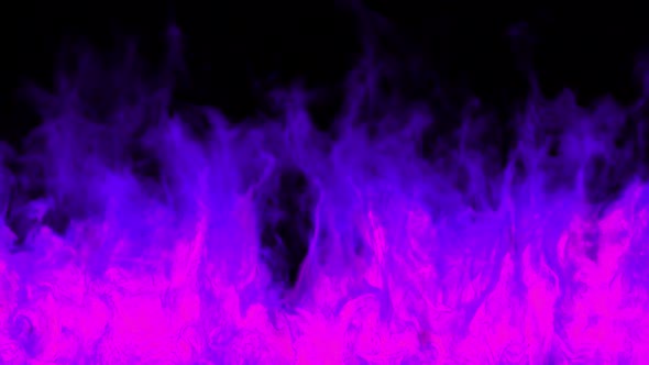 Purple Fire- Alpha