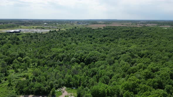 summer deciduous forest with thick broad-leaf trees, wide aerial pan alt