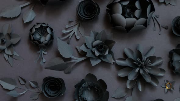 Black paper flowers on Black background. Cut from paper. Wallpaper template