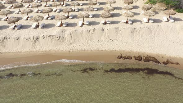 Aerial view of a beach in the summer
