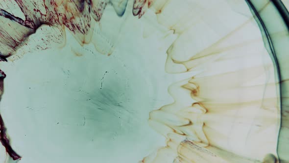 Abstract Grunge Color Ink Paint Spread Explosion Narrowing Space Explosion Background alt