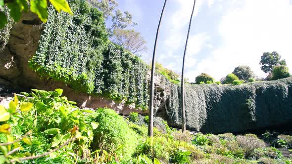 Umpherston Sinkhole in Mt Gambier Australia alt