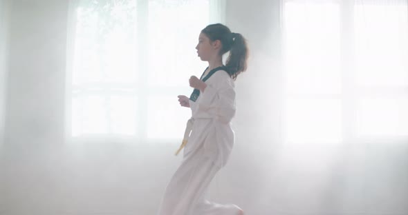 Slow motion footage of a girl practicing martial arts in a dojo alt