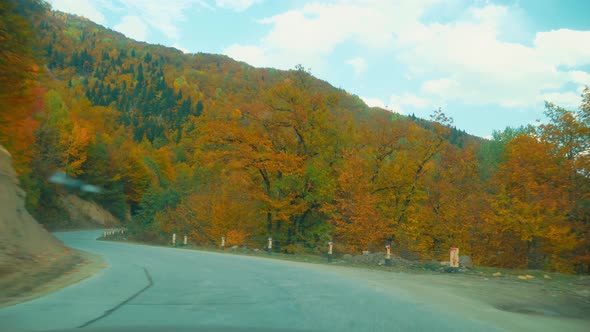 camera shoots from first person, car is driving along a narrow mountain road. alt