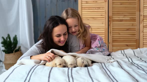 Woman with Daughter Looking at Sleeping Puppies alt