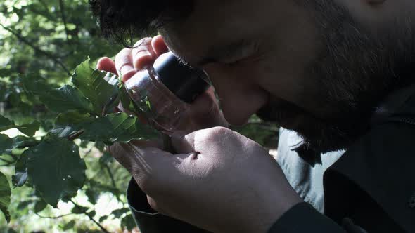 Concentrated Male Botanist Using Handheld Loupe Magnifier On Leaf. Close Up, Static Shot alt