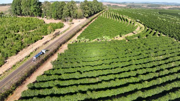 Rural countryside scenic aerial landscape. Countryside scenery. alt