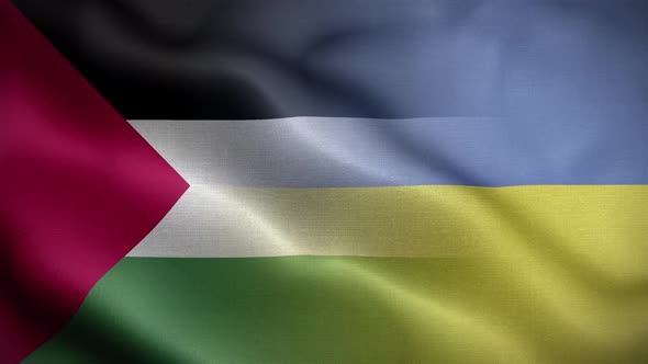Ukraine Palestine Flag Loop Background 4K