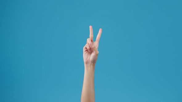Woman hand counting from 1 to 5 with finger isolated over blue background in studio. alt