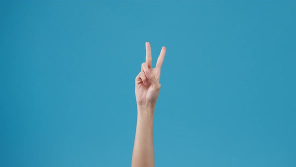 Woman hand counting from 1 to 5 with finger isolated over blue background in studio.