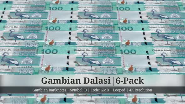 Gambian Dalasi | Gambia Currency - 6 Pack | 4K Resolution | Looped alt