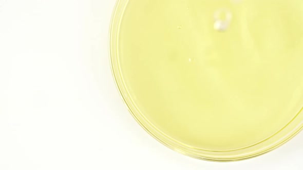 Transparent Yellow Cosmetic Liquid Dripping in a Glass Bowl of Petri alt