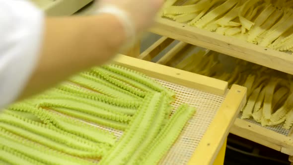 Production of Pasta (Spaghetti) - Worker Puts Pasta on Tray alt