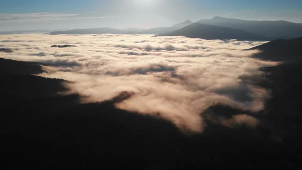 Aerial View Amazing Thick Morning Fog Covering Mountains Spice and Spruce Forest