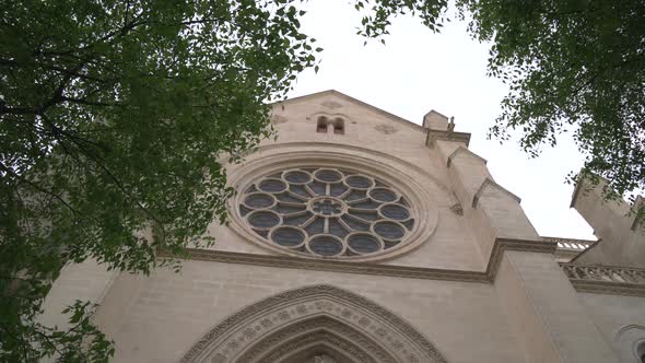 Rose window seen behind branches alt