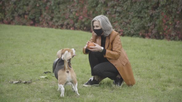 Positive Senior Caucasian Woman Throwing Ball To Dog in Spring or Autumn Park alt