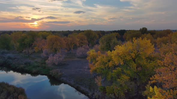 A vibrant fall display of color in sky and tree along the Platte river in Colorado, alt