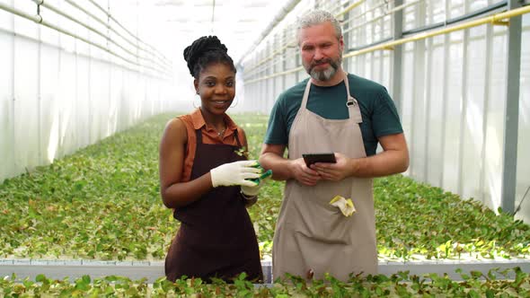 Portrait of Multiethnic Man and Woman at Work in Flower Greenhouse alt