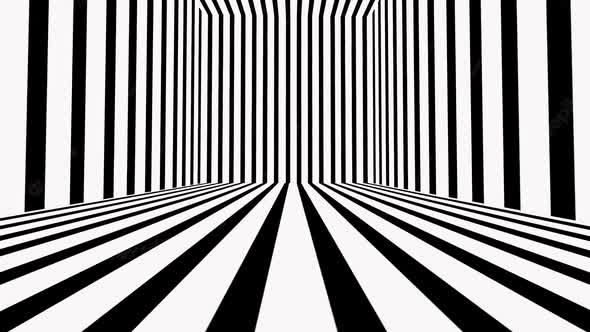 Black And White Stripes Floor