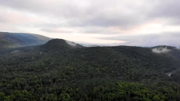 Aerial view of a forest in Maine USA alt