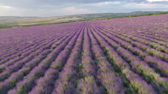 Aerial Nature Landscape Video