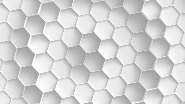 White Hexagon Background