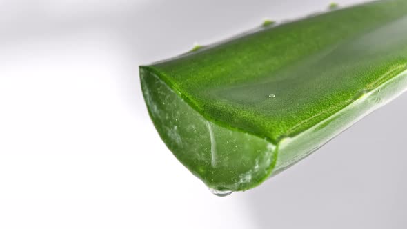 Motion of Dropping a Drop Aloe Vera Liquid From Leaf on Green Blurred Background alt