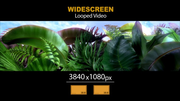 Widescreen Tropical Leaves 02
