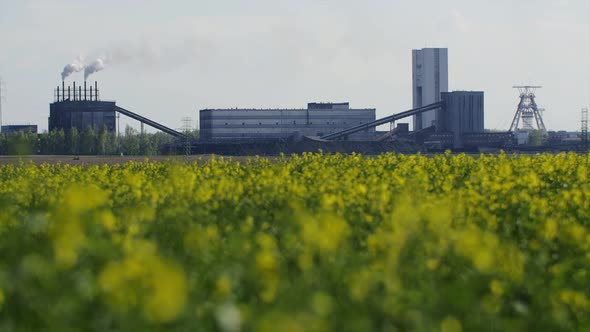 Industry Plant 3 alt