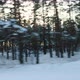 Beautiful Winter Forest View From the Car Window in Motion Background - VideoHive Item for Sale