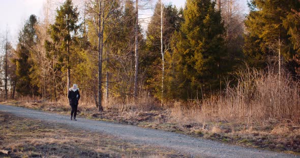 Leaisure Activities, Sport - Tourist Walking Along Mountain Trail in Mountains alt