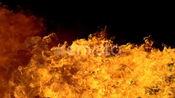 Fire Flame Motion Background