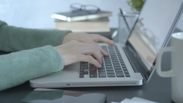 Female Hands Using Laptop alt