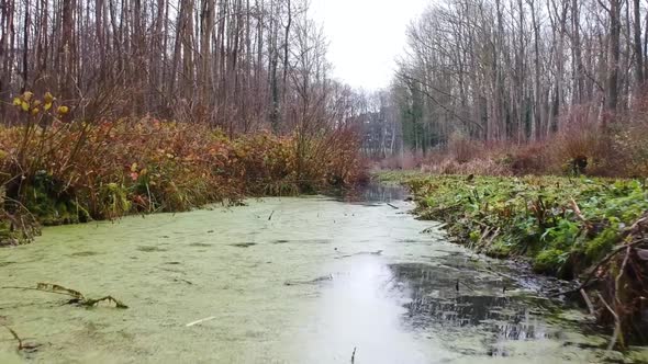 Cinematic droneshot hovering revealing a creek of water in a forest during golden hour alt