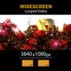 Widescreen Garden Branches Of Colorful Flowers Magic 02 - VideoHive Item for Sale