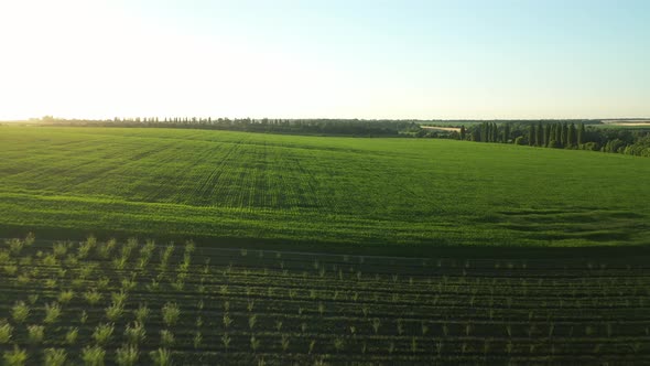 Aerial Landscape alt