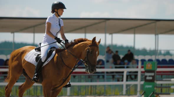 Woman Riding Brown Horse at Show Jumping Competition on Outdoor Sandy Arena alt