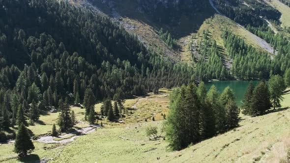 Mountain Valley with Alpine Palpuogna Lake in Albulapass Swiss Alps alt