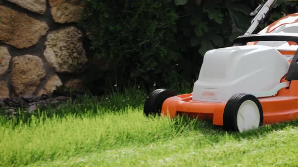 Close up shot of a man mows the grass in the backyard with an electric lawn mower alt