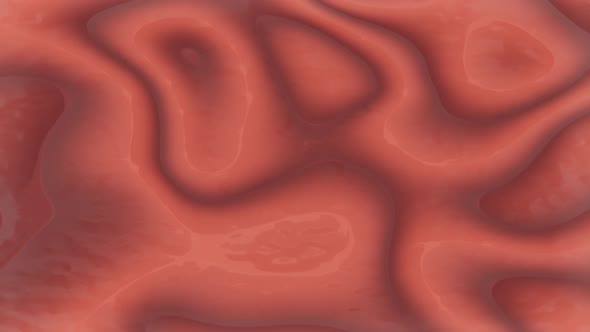 Mimic Texture Loop of Internal Organs alt