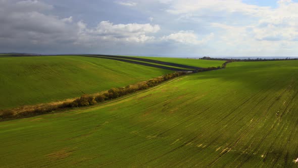 Aerial view of bright green agricultural field in early spring. alt