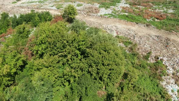 Aerial View of Dump in Forest in Pollution Concept alt