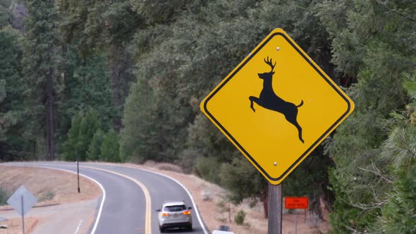 Deer Crossing Yellow Road Sign California USA